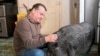 Americans Debate Pets, Emotional Support Animals 