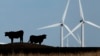 Obama: US is 'Global Leader' in Climate Change Fight