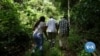Ghana’s Private Forest Project Brings Business to Reforestation 