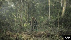 Ce groupe roulait dans le célèbre parc national Queen Elizabeth lorsqu'il a été attaqué par des membres de la milice des Forces démocratiques alliés.