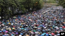 Protest u Hong Kongu, 18. avgust 2019.