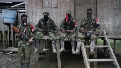 Colombia: ELN decreta tregua por elecciones