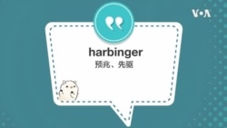 学个词 - harbinger