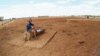 Australia registra temperaturas récord en primavera 