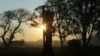 FILE - A girl carries a bucket of water after fetching it from a borehole in Harare, Zimbabwe, Aug, 8, 2019. Rights groups are calling for the of arrest a Zimbabwean man who had married a 14-year-old who died last week while giving birth.