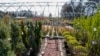 Farms Scramble for Answers as Coronavirus Threatens Workers