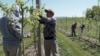 US Farmers, Farmworkers Concerned About Immigration Policies