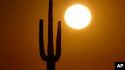 Los avistamientos se produjeron cerca de Roswell, Nuevo México —un lugar significativo entre los que creen en los OVNIs que sospechan que un objeto volador se estrelló allí en 1947.