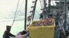 California Bans, Restricts Fishing in Marine Areas