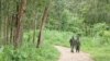 Dix-sept morts après des affrontements dans le nord-ouest de la RDC