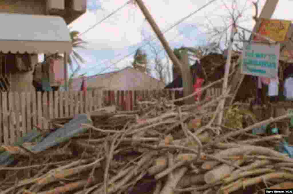 Limbs from downed trees are piled up in a severely damaged village in Cebu, Philippines, Nov. 14, 2013. (Photo: Steve Herman / VOA)