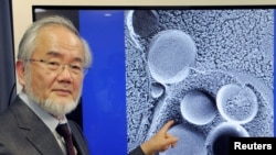 Le prix de Nobel de médecine a été attribué au professeur Yoshinori Ohsumi du Tokyo Institute of Technology, pris en photo à Tokyo, le 25 mars 2015.