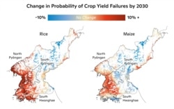 2030년까지 북한의 쌀과 옥수수 작황 실패 가능성을 분석한 지도. Map by Carl Churchill, Woodwell Climate Research Center