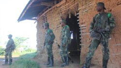 RDC : cinq civils ont été tués par de présumés rebelles des ADF