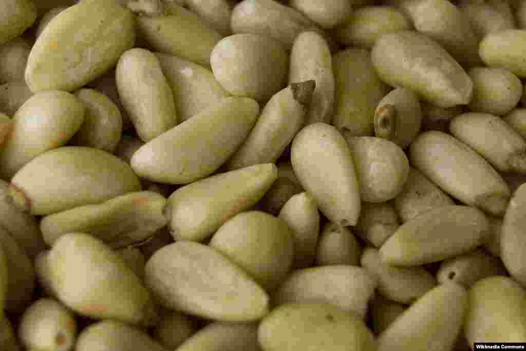 هسته کاج