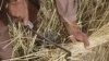 UN Calls for Doubling Food Production