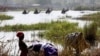 Chadian Troops Retake Nigerian Village From Boko Haram