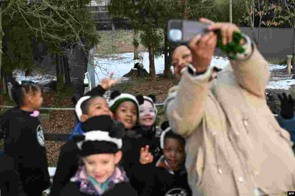 Las selfies tampoco se hicieron esperar. Pequeños estudiantes y maestros que visitaron el zoo de Washington, se retrataron con las dos nuevas estrellas del lugar. 
