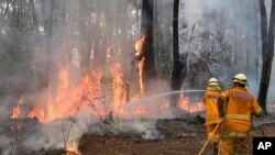 Petugas pemadam kebakaran Australia berupaya memadamkan api di wilayah Bilpin, 75 kilometer sebelah Barat Sydney, Australia (22/10).