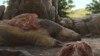 Perezosos gigantes y mastodontes coexistieron con humanos por milenios en América, según hallazgos