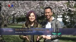 VOA Dunia Kita: Bulan Kesadaran Autisme (1)