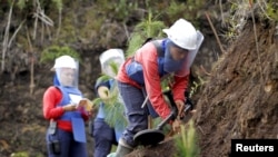 Sejumlah petugas tampak mendeteksi keberadaan ranjau darat di sebuah lahan di Provinsi Antioquia, Kolombia, pada 19 November 2015. (Foto: Reuters)