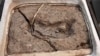 Scientists: Human Footprint Found in Chile Is Oldest in Americas 