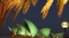 Chinese Tourists Flock to Australia