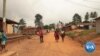 As Ghana Tries to Raise Cocoa Farmers' Incomes, Farms Destroyed