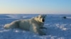 Même un réchauffement de 2°C aura une incidence importante 