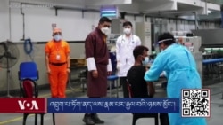 འབྲུག་པ་ཏོག་ནད་ལས་རྣམ་པར་རྒྱལ་བའི་ཉམས་མྱོང་།