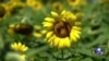 16x9 Image