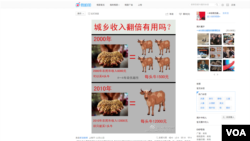 A screenshot of a Weibo message commenting on Hu Jintao's pledge to double Chinese people's income by 2020, November 12, 2012. (VOA)