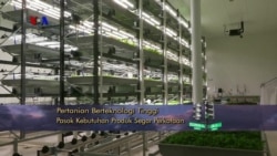 VOA Dunia Kita: Teknologi Kedokteran dan Kesehatan (3)