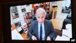 Anthony Fauci em declarações a senadores por conferência virtual