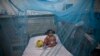 Mosquito-Borne Viruses Spread Across the World
