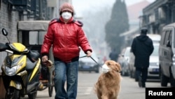Seorang pria dan anjingnya, dua-duanya memakai masker, berjalan di tengah udara berkabut asap di Beijing (23/2).