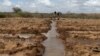 UN: Small Farmers Need Incentives as Falling Food Prices Hurt Incomes