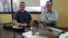 Intact Skull Sheds Light on Big, Long-necked Dinosaurs