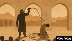 د ملګرو ملتونو ځانګړی راپور ورکوونکی وایي چې طالبانو په یوې اونۍ کې ۶۲ کسان په درو وهلي