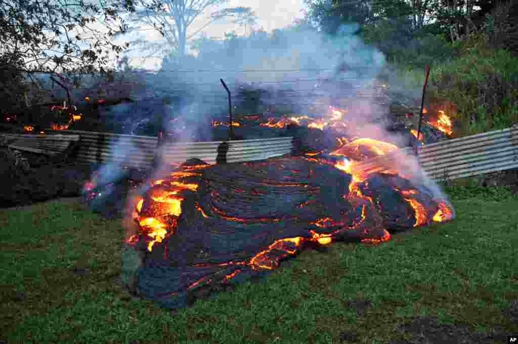This photo provided by the U.S. Geological Survey shows lava that has pushed through a fence marking a property boundary above the town of Pahoa on the Big Island of Hawaii, Oct. 28, 2014.