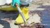 BP Asks For Patience As It Tries to Plug Ruptured Well