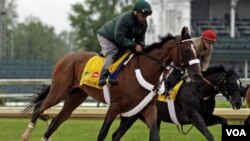 El jockey Mike Heera, llevó a Mucho Macho Man hasta el tercer lugar en el Derby de Kentucky, mientras el potro Archarcharch se lesionó a poco de la partida.