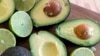 EE.UU. importará más aguacates de México