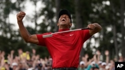 Tiger Wood 