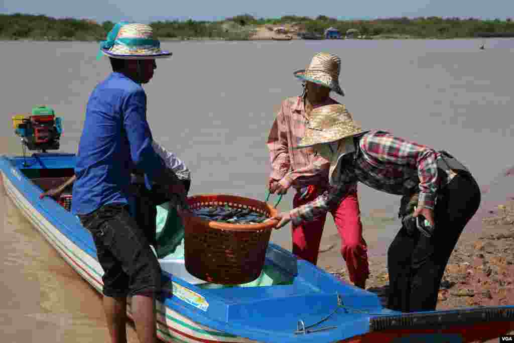 ប្រជានេសាទលើកកន្រ្តកត្រីចេញពីទូកនេសាទ ដើម្បីយកទៅលក់ នៅឃុំចុងឃ្នាស ខេត្តសៀមរាប កាលពីថ្ងៃទី៤ ខែធ្នូ ឆ្នាំ២០១៥។ (នូវ ពៅលក្ខិណា/VOA) 