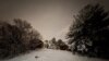 Snowy Tuesday Night