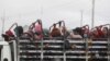 COVID Pushing Least Developed Countries Over Edge, UN Says