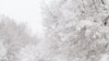 Ofertas invitan a desafiar la nieve