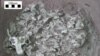 Paleontologists Analyze Possible Dinosaur Nest, Young ‘Babysitter’